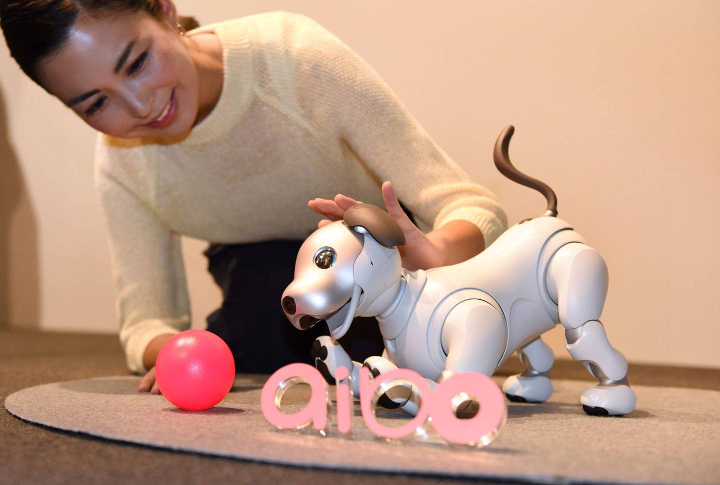 Sony's latest entertainment robot "aibo" is displayed during a press preview at the company's headquarters in Tokyo on November 1, 2017.  
Japanese electronics giant Sony is marking the year of the dog by bringing back to life its robot canine -- packed with artificial intelligence and internet capability. / AFP PHOTO / Kazuhiro NOGI