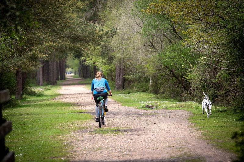 Paul Peachey feature on reinstating old railway lines, including the line the line in the New Forrest near Holmsley. The old train line to Holmsley is now a popular cycle track.