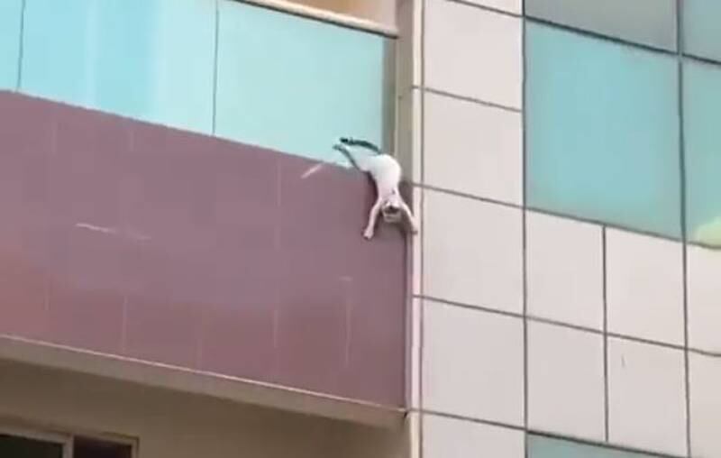 This is the moment when the cat, who had jumped over an apartment balcony guard, struggled to cling on. Courtesy: Rashid Mohammed