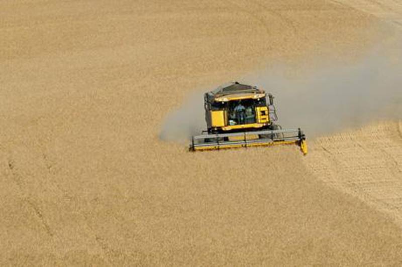 A combine harvester is at work on July 15, 2010, in a wheat field near the village of Trebons-sur-la-Grasse, in Lauragais aera, southwestern France.AFP PHOTO / REMY GABALDA
