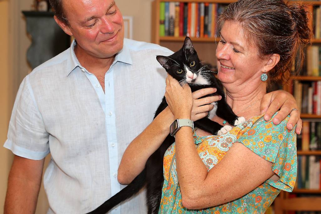 My Dubai Rent: A villa for 125k large enough for this couple and their eight cats