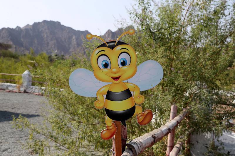 DUBAI, UNITED ARAB EMIRATES , November 7 – 2020 :- View of the Hatta honey bee garden at the Hatta in Dubai. The ticket price of honey bee garden tour is 50 AED per person.  (Pawan Singh / The National) For News/Online/Instagram/Big Picture. Story by Nick Webster 