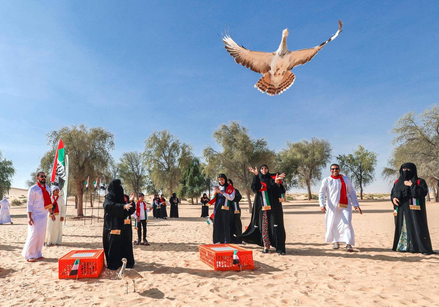 Abu Dhabi, United Arab Emirates, November 27, 2019.  National Day Bird release of the Houbara at the Telal Resort at Rimah, Abu Dhabi.--  Various schools from  Dubai, Al Ain and Abu Dhabi participated in the releasing of the 48 Houbara's to represent the 48th year anniversary of the UAE.Victor Besa / The NationalSection:  NAReporter: