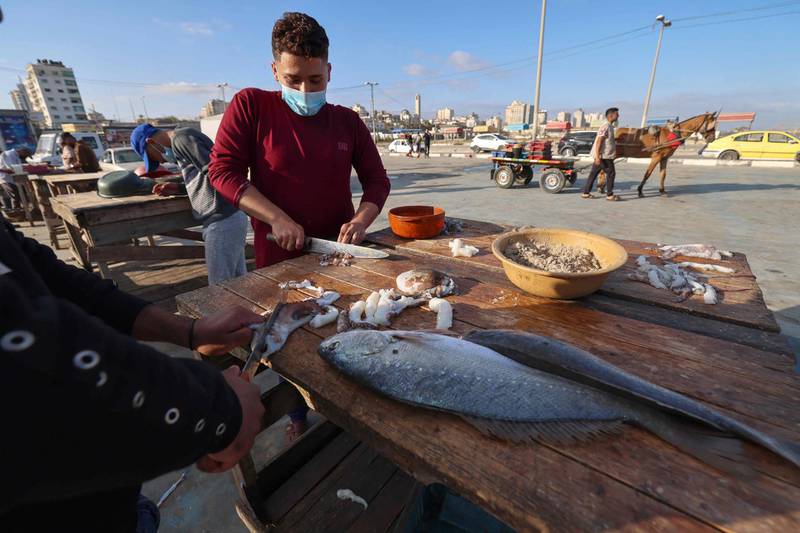 Palestinian men clean fish and seafood for customers as the day's catch 1s auctioned off at Gaza City's main port. AFP