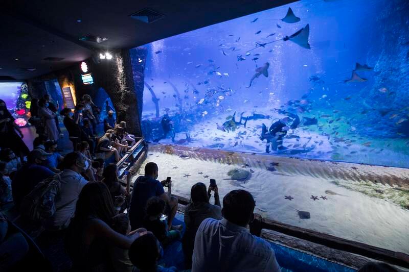 The National Aquarium is home to 46,000 creatures and 300 species. Ruel Pableo / The National