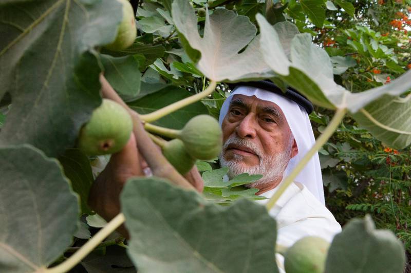 Sheikh Zayed's agriculture advisor Abdul Hafeez Khan interviewed at his home in Al Ain Duncan Chard for the National. *** Local Caption ***  DC0529-Abdul_Hafeez_Khan-TN150502DC0550.jpg