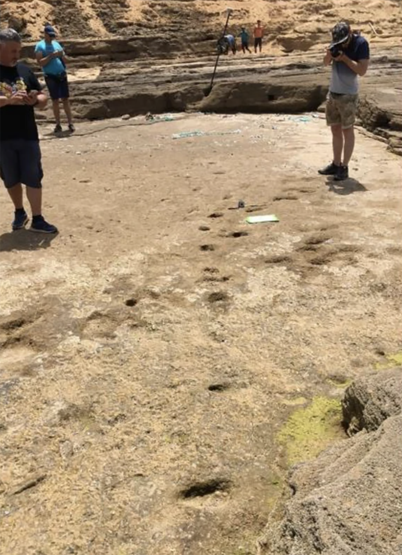 Sceintists found a total of 85 footprints that they said appeared to have been created by adults, children and adolescents.