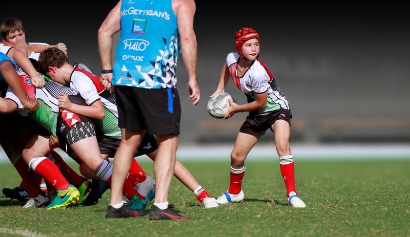 The Harlequins have more than 1,000 active members across all age groups. 

