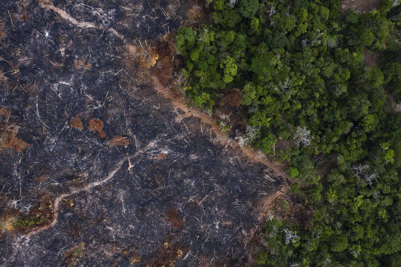 A burnt area of the Amazon rainforest in Para state, Brazil, in  2019. AP