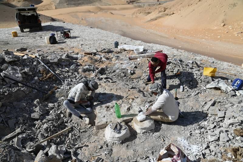 Palaeontologists working at the site 
