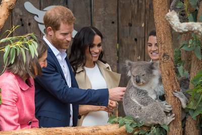 SYDNEY, AUSTRALIA - OCTOBER 16: Prince Harry, Duke of Sussex and Meghan, Duchess of Sussex meet a Koala called Ruby during a visit to Taronga Zoo on October 16, 2018 in Sydney, Australia. The Duke and Duchess of Sussex are on their official 16-day Autumn tour visiting cities in Australia, Fiji, Tonga and New Zealand. (Photo by Dominic Lipinski - Pool/Getty Images)