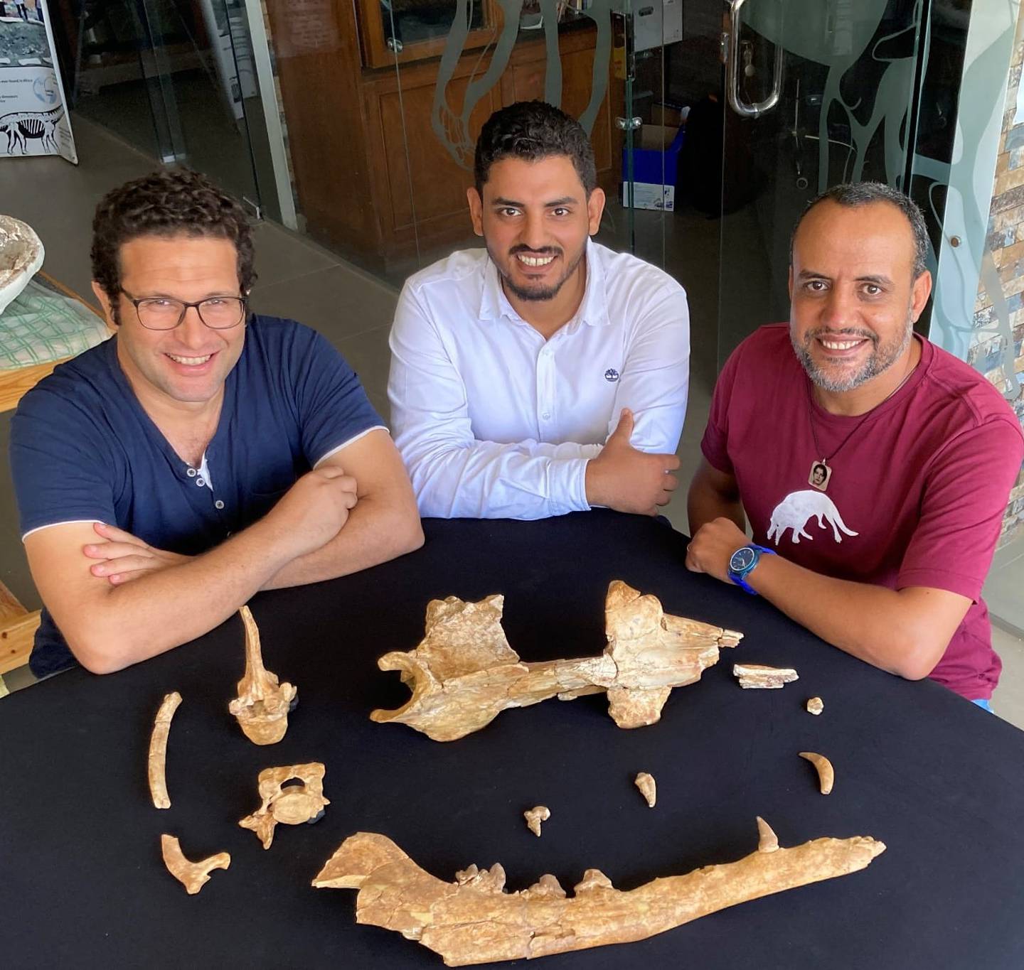Egyptian palaeontologists, from left, Mohamed Sameh Antar, Abdullah Gohar and Hisham Salam, with the fossil of legged whale 'Phiomicetus anubis', which they have been studying for over a decade.