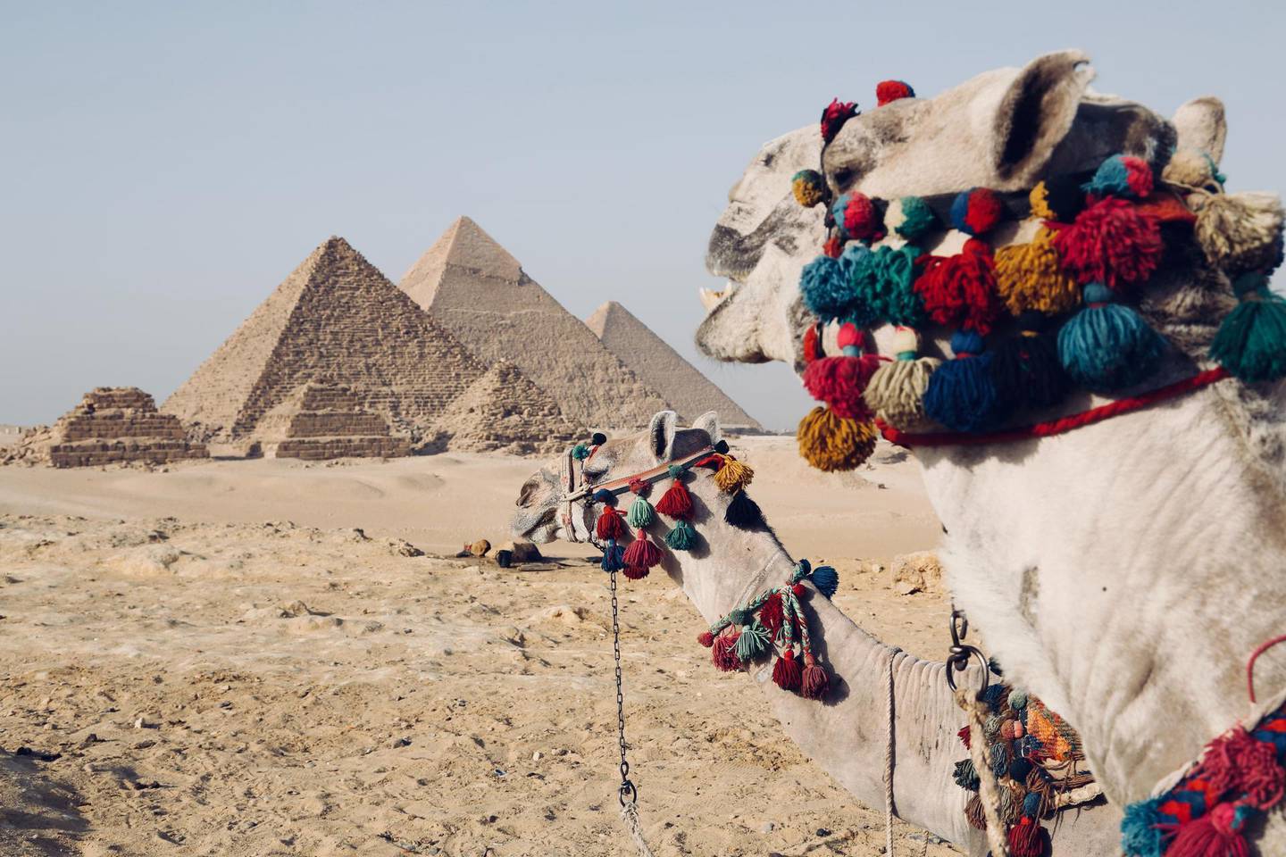 Egypt reopened airports to commercial passenger flights from the beginning of July in a bid to boost tourism. Unsplash 