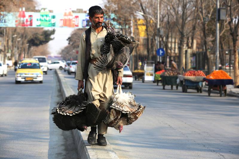 An Afghan man with turkeys in Kabul. AFP