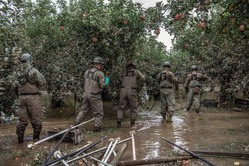 Soldiers from Japan's Self Defence Force search an apple orchard for bodies after heavy flooding caused by Typhoon Hagibis in Hoyasu near Nagano, Japan. Japan has mobilised over 100,000 rescue workers after Typhoon Hagibis, the most powerful storm in decades, swept across the country killing 66 people and leaving thousands injured and homeless. Getty Images