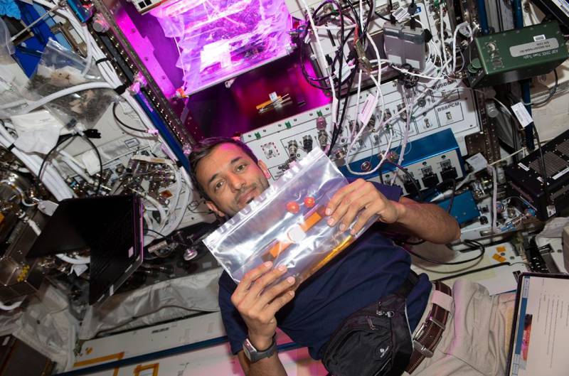 Sultan Al Neyadi and colleagues to take over previous crew's activities on space station