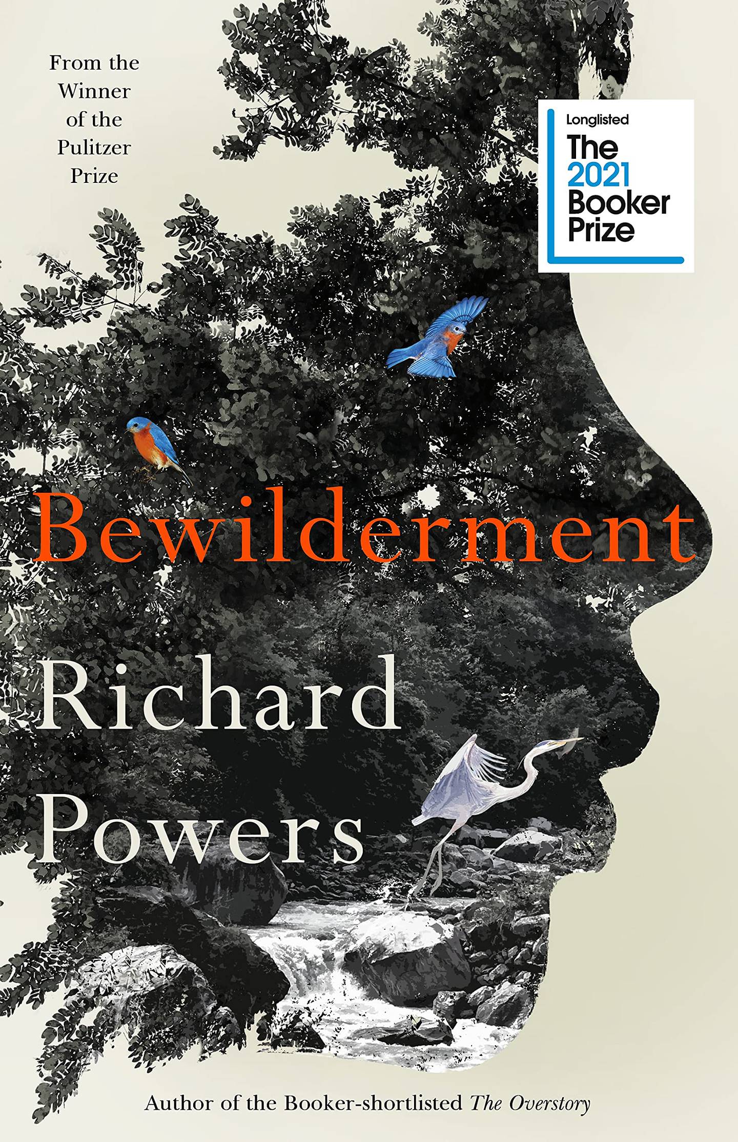 'Bewilderment' by Richard Powers. Photo: William Heinemann