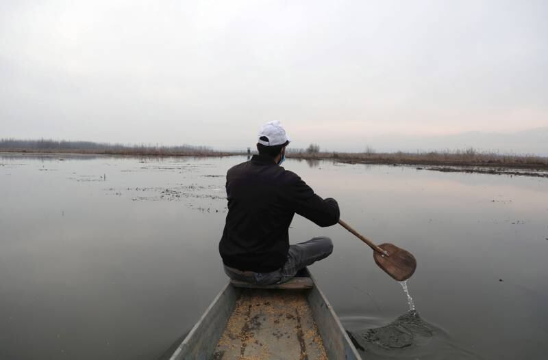 A man rows a boat in Kashmir's wetland. EPA