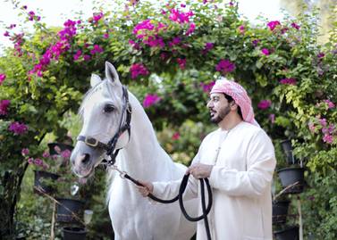 DUBAI, UNITED ARAB EMIRATES. 17 OCTOBER 2019. Horse owner and breeder, Khalid Khalifa Al Naboodah with the stallion Af Maquam Alezz, in Al Awir stables. (Photo: Reem Mohammed/The National) Reporter: Section: