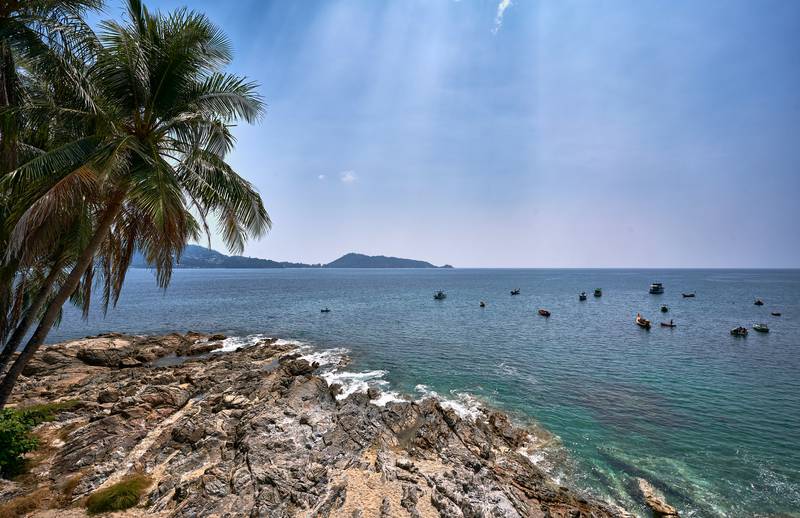 The annual release of marine life into the Andaman Sea is part of a shark-breeding programme led by the Phuket Marine Biological Centre. Photo: Unsplash / Norbert Braun