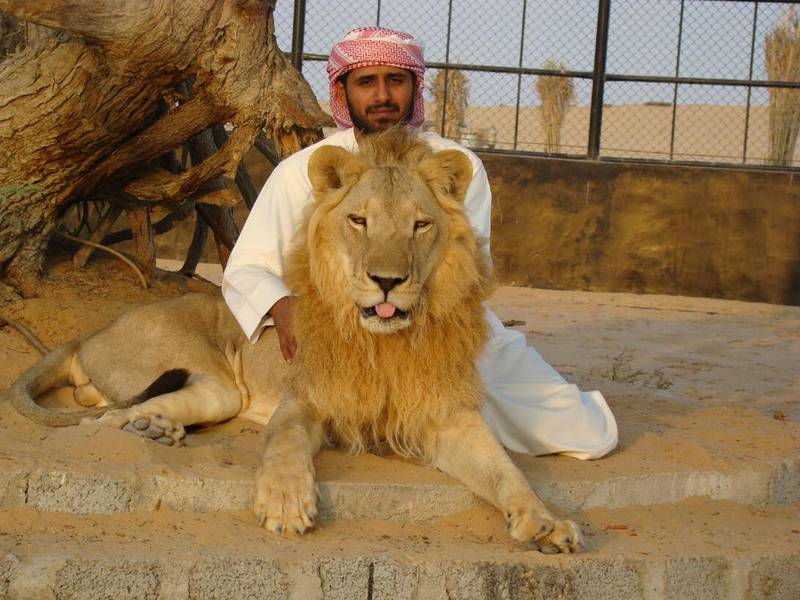 Mohammed Al Kumaiti, 37, bought a lion cub for Dh50,000 a few years ago from a farm in Dubai but regretted his decision once he saw lions in their natural habitat while on safari in South Africa. Courtesy Mohamed Abdulla Al Kumaiti 