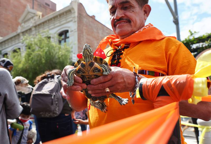 Turtles need blessings, too. Getty Images / AFP
