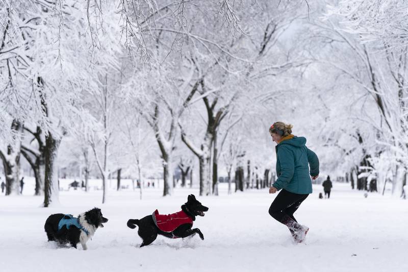 A local plays with her dogs on the National Mall in the snow. AP