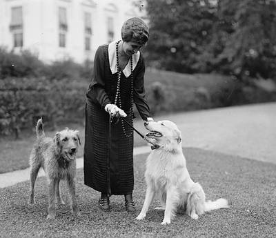 First lady Grace Coolidge with Laddie Boy, an Airedale terrier, and Rob Roy, a white collie, in September 1924. Calvin Coolidge was president from 1923 to 1929. Wiki Commons