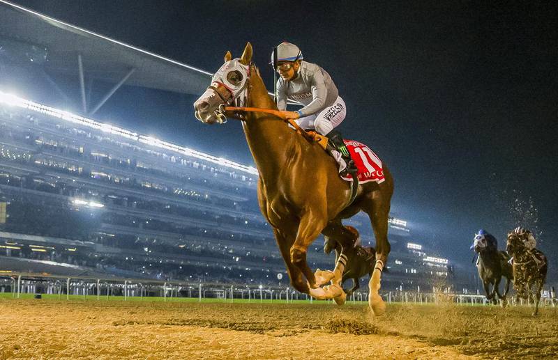 California Chrome shown during his winning run in the Dubai World Cup in March. Kaz Ishida / Eclipse Sportswire / Getty Images
