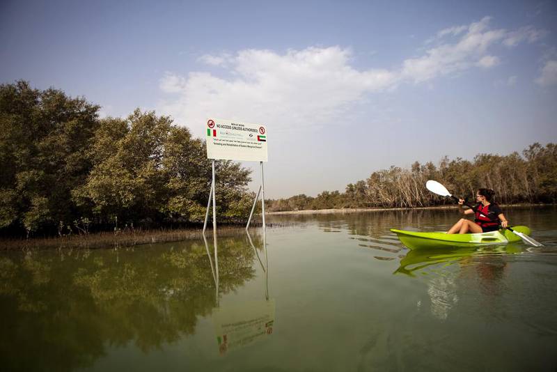 Eastern Mangrove Lagoon National Park, Abu Dhabi. Experience nature at its best with this urban escape extraordinaire. The Eastern Mangroves stretch for about 8 kilometres along Abu Dhabi’s Sheikh Zayed Street (Salam Street) and provides a habitat for numerous bird and aquatic species. Leave the city far behind and venture into this lush, watery wilderness on a kayak, the ideal eco-friendly way to explore the area.

Pink flamingoes, herons, terns, egrets, turtles, crabs and dolphins – they can all be seen here in the picturesque waterways. If you’re not overly confident in a kayak, then simply stroll on foot along the promenade and soak up the atmosphere; it takes about 90 minutes to walk the full length. In the midst of all this greenery and wildlife, it’s hard to believe that the bustling city is so close by, and that’s what makes this place truly special.

Location: Along Sheikh Zayed Street. Silvia Razgova / The National