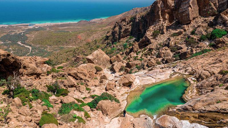 Socotra boasts an abundance of Frankincense trees and fresh water springs.