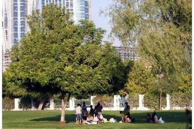 In many of the UAE's parks, the lawns have been covered with a generous mixture of sand and aromatic organic matter designed to replace nutrients and improve the overall health of the grass.