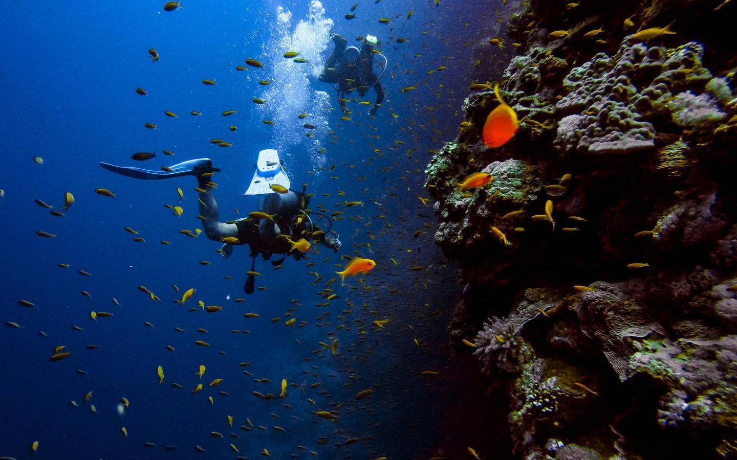 Egypt's Red Sea has some fantastic diving sites. Unsplash