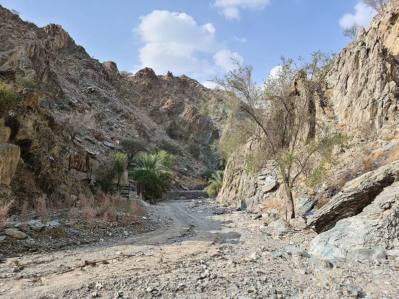 8. Wadi Tayyibah, Fujairah. Photo: Wikipedia