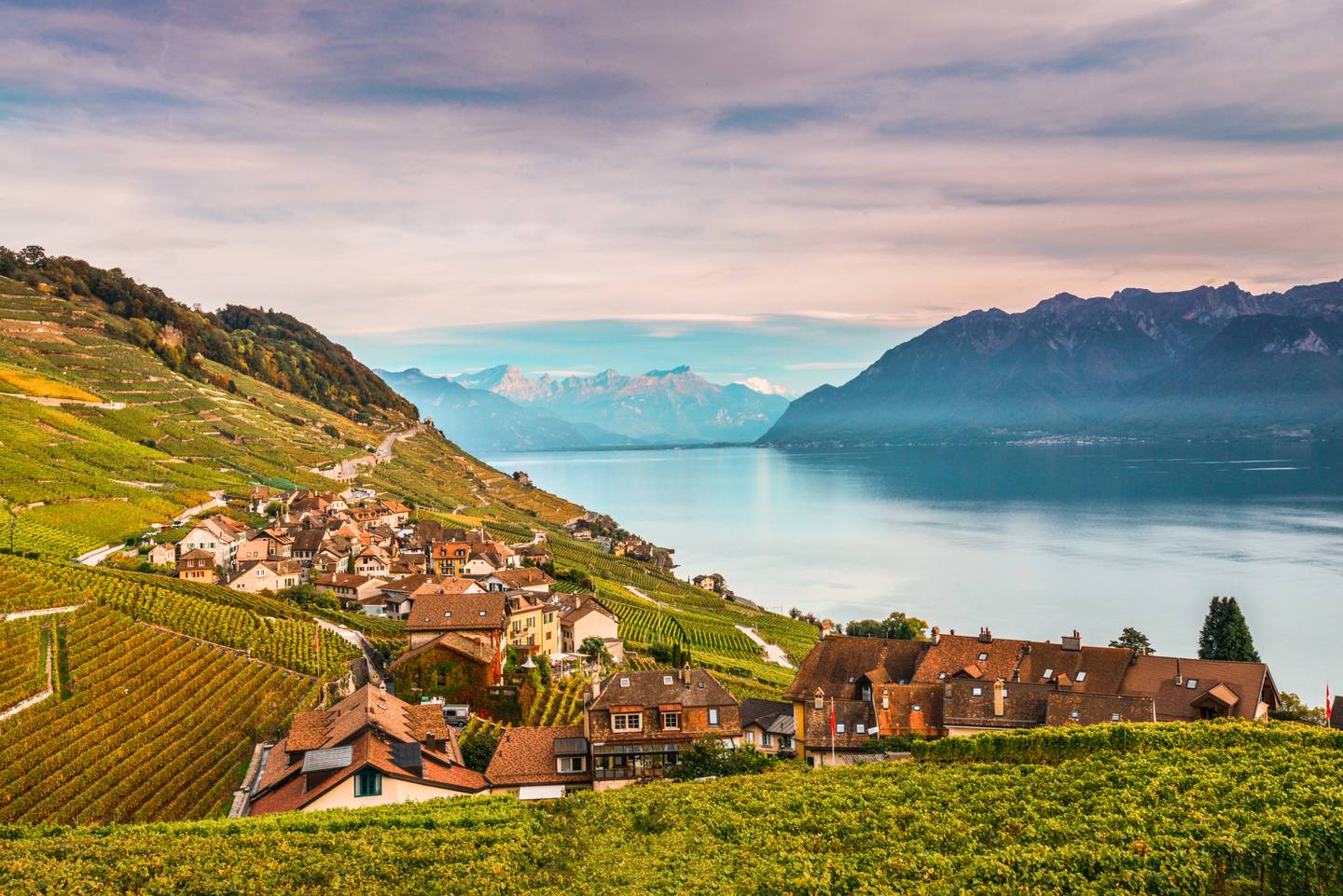 The vineyards of Lavaux, Switzerland. Photo: AllDetails / Maude Rion
