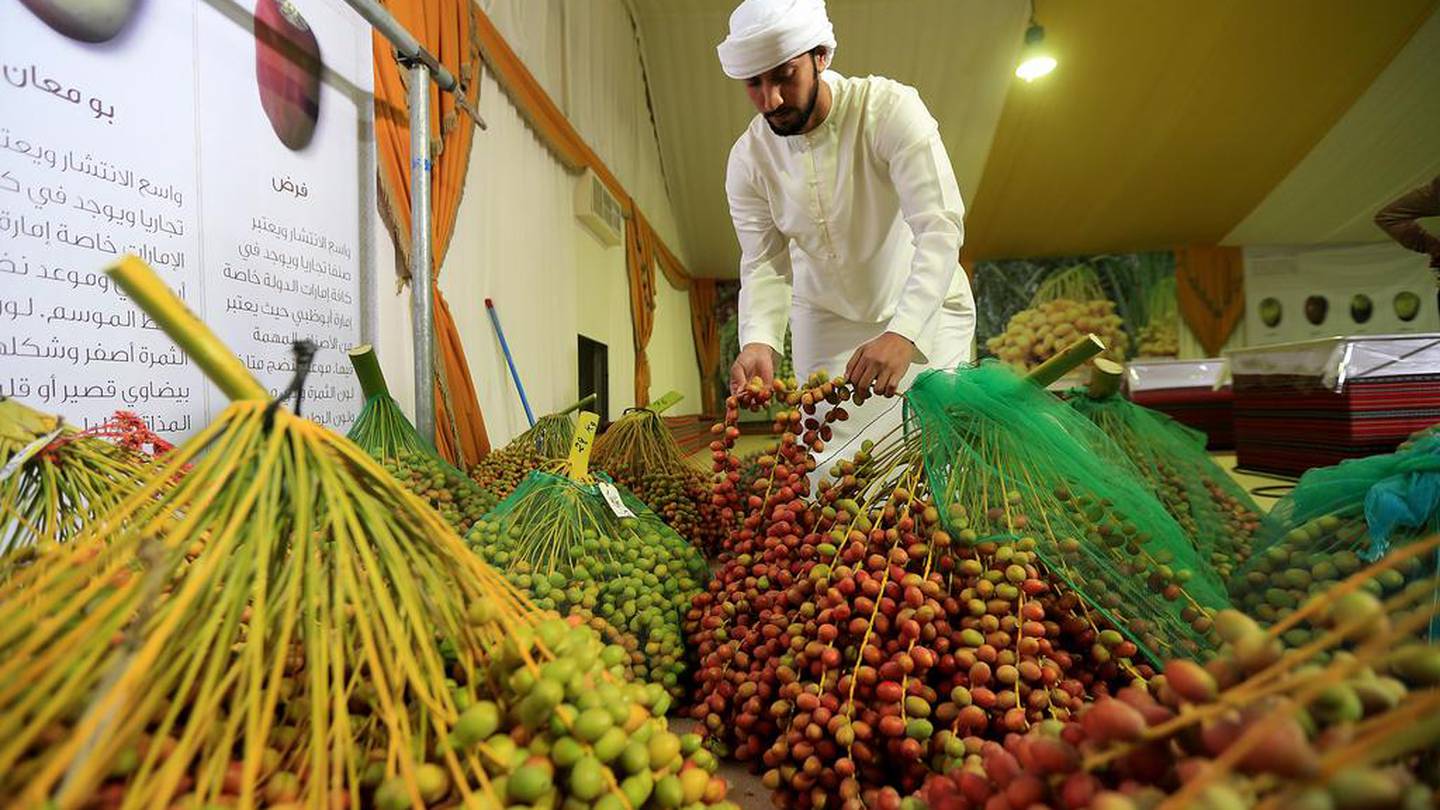 Финики страны производители. Фестиваль фиников Liwa Date Festival. Рынок фиников в Абу Даби. Финик вырастить дома.