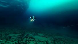 Seaweed found living 100m below Antarctic ice shelf