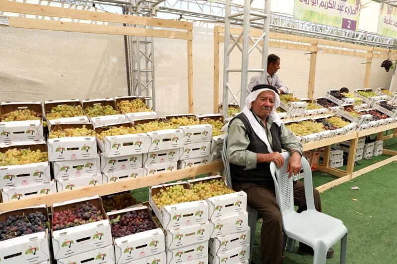 The Palestinian grape festival in the village of Halhul, near the West Bank city of Hebron. 