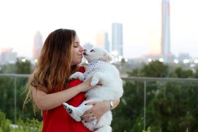 Dubai, United Arab Emirates - Reporter: Katy Gillett. Features. Boujie Paws Co Dog Fashion Show at the Vida hotel. Tuesday, April 6th, 2021. Dubai. Chris Whiteoak / The National
