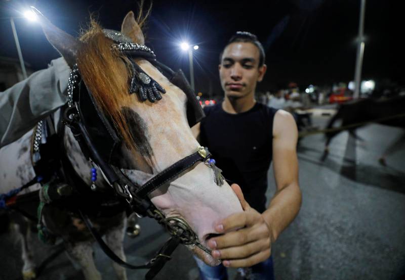 A man pets his horse after a cart race in Cairo, Egypt. Reuters