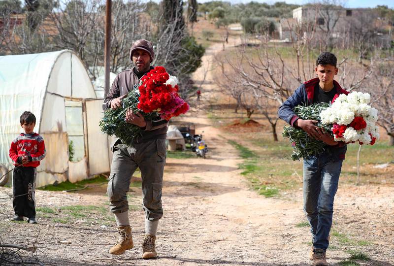 Abu Ahmad, left, and an employee, carry armfuls of carnations, ready for sale at florist shops in Syria's north-western province of Idlib. AFP