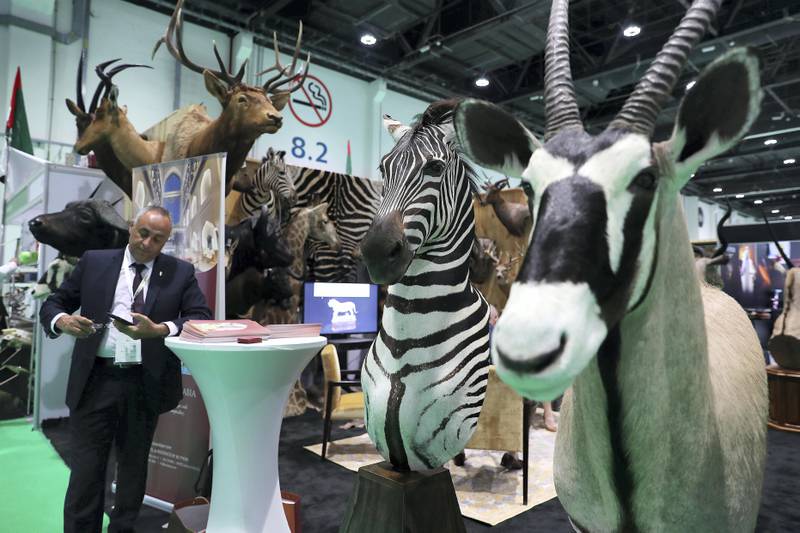 ABU DHABI , UNITED ARAB EMIRATES , SEP 12  ��� 2017 : - Stuffed animals on display at the BuyTaxidermy stand at the ADIHEX 2017 held at  Abu Dhabi National Exhibition Centre in Abu Dhabi. ( Pawan Singh / The National ) Story by Anna