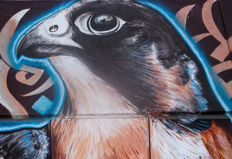 A falcon by Talal Shehab.