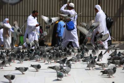 Pilgrims walk by pigeons outside the Grand Mosque. AFP