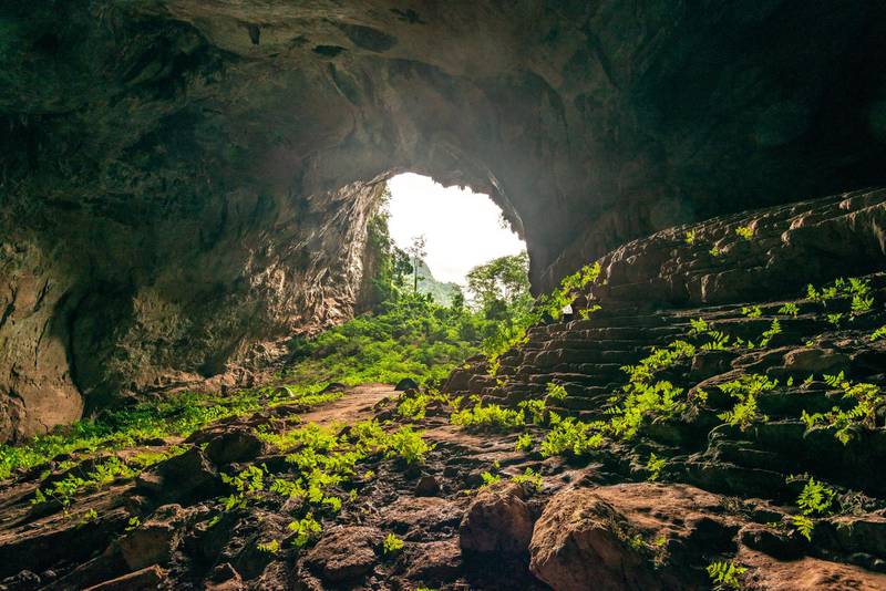 Inside Pygmy Cave. Courtesy Jungle Boss