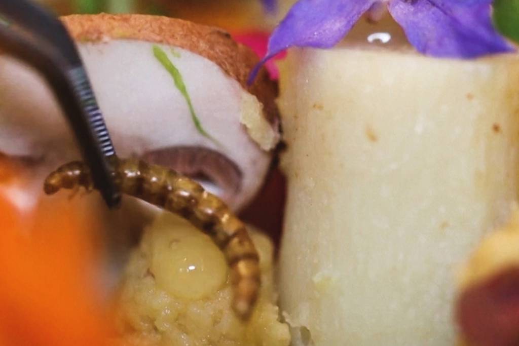 A Parisian lunch topped with - mealworms?
