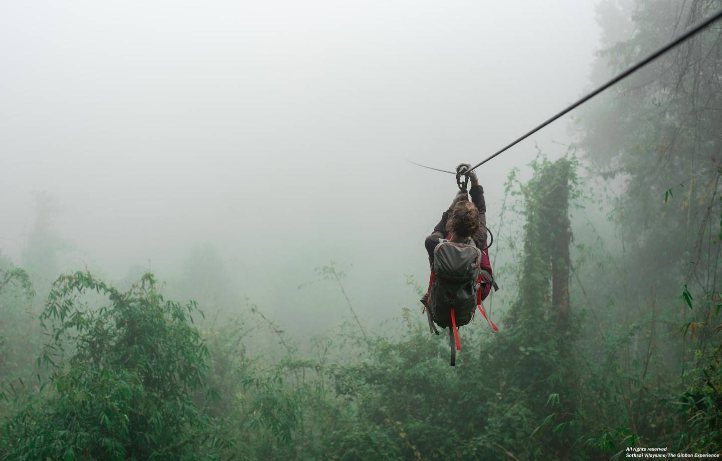 Zip-lining above the jungle canopy. Courtesy Souksamlan Laladeth