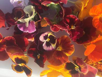 Grow Your Own Edible Flowers