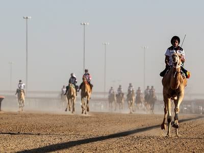 Camel jockeys race in the UAE National Day Camel Marathon - in pictures