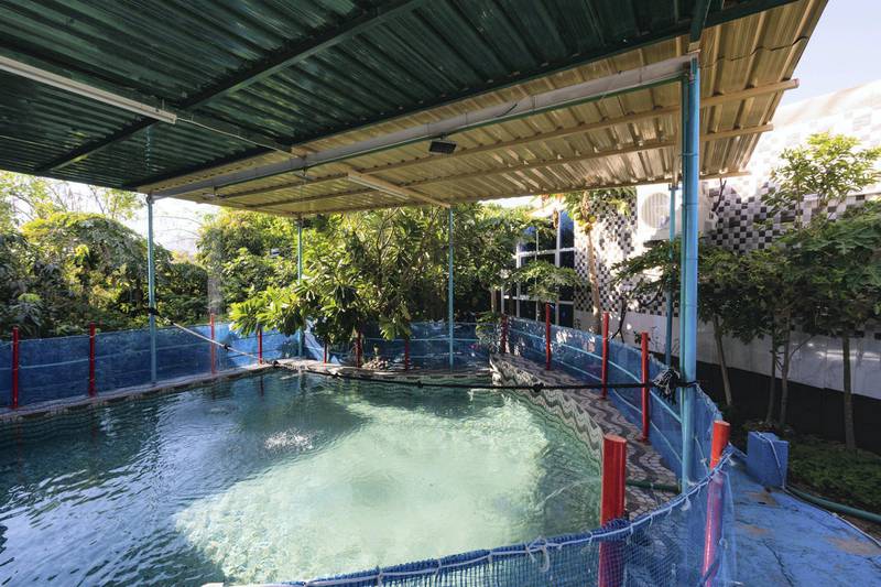 The covered swimming pool at Happiness Farm